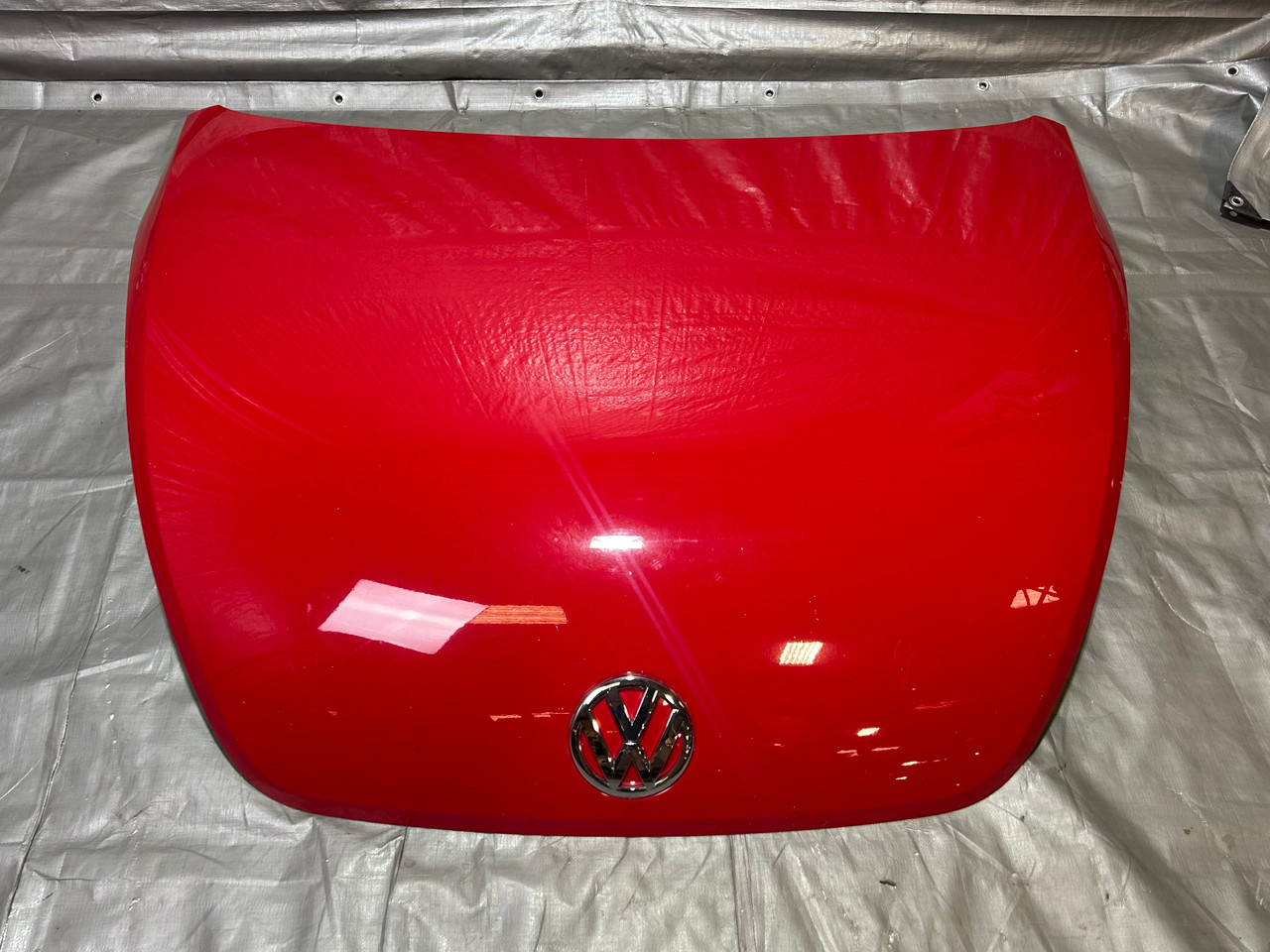 2013-2019 Volkswagen Beetle OEM Hood Panel