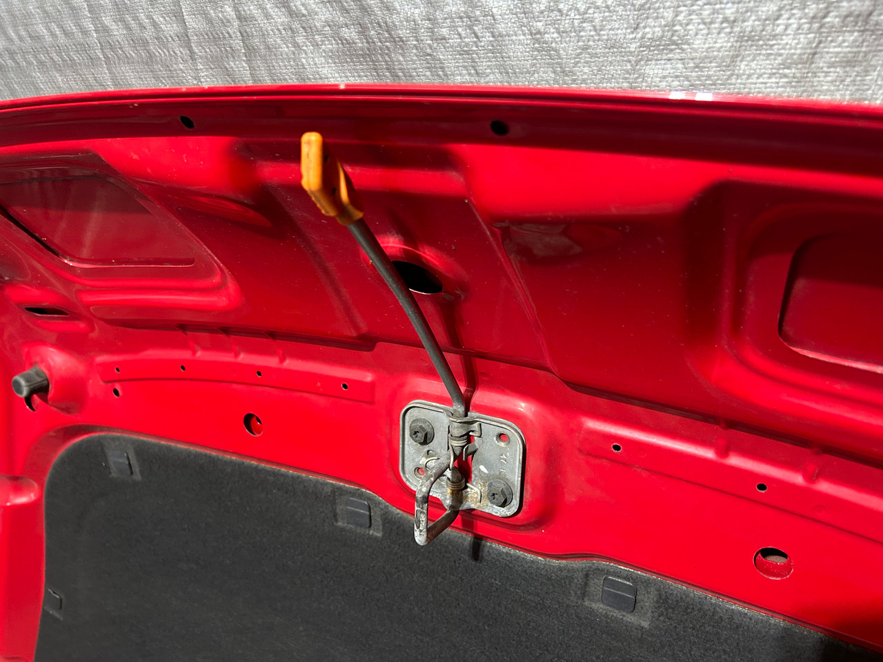 2013-2019 Volkswagen Beetle OEM Hood Panel - Image 4